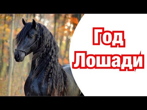 Видео: Год Лошади – описание и характеристика знака