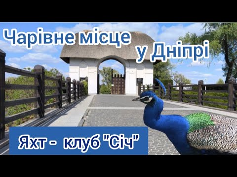 Видео: Яхт-клуб "Січ". Дніпро. Місце, де відпочиває душа.