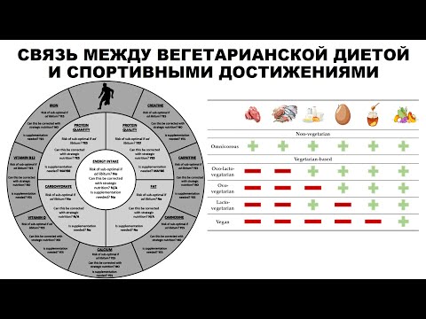 Видео: СВЯЗЬ МЕЖДУ ВЕГЕТАРИАНСКОЙ ДИЕТОЙ И СПОРТИВНЫМИ ДОСТИЖЕНИЯМИ