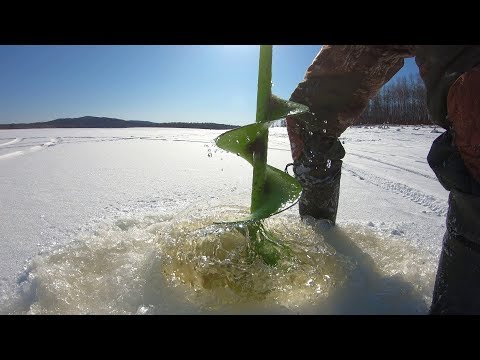 Видео: Ловля налима зимой!!! На стук и жерлицы. Ловля щуки на жерлицы (в конце февраля )