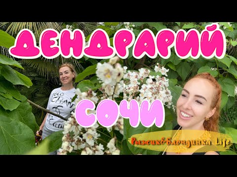 Видео: Сочинский ДЕНДРАРИЙ 🙌 или наши ВЕСЕЛЫЕ ПРИКЛЮЧЕНИЯ со входом в парк 😂🤩