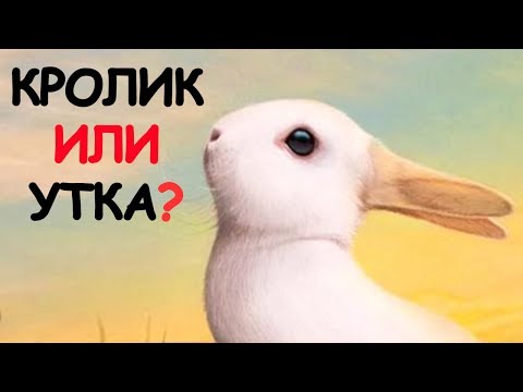 Видео: 10 ИЛЛЮЗИЙ, КОТОРЫЕ ПРОТЕСТИРУЮТ ТВОЙ МОЗГ