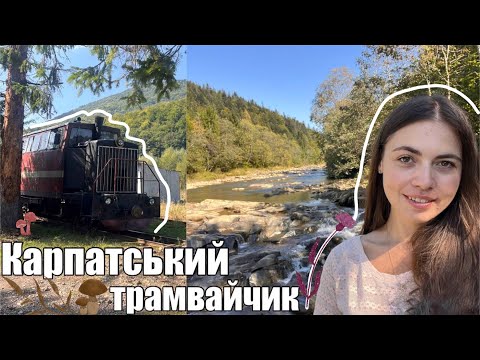 Видео: mt51•Карпатський трамвайчик 🚂