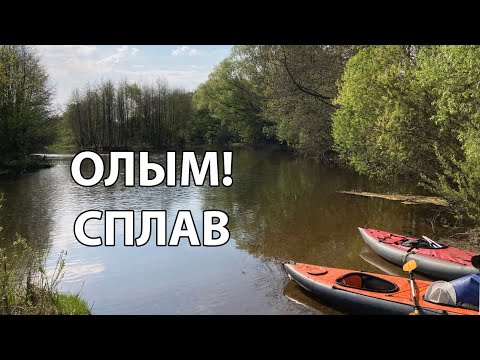 Видео: Сплав река Олым. 65км. Набережное -Весёлая.