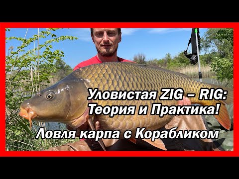 Видео: Оснастка ЗИГ РИГ + Карповый Кораблик (ЖИВАЯ ловля карпа на ZIG RIG в завоз)