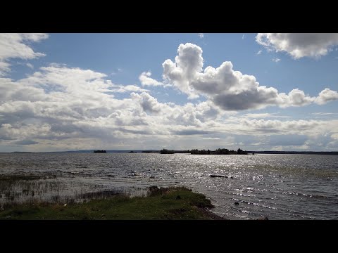 Видео: Прогулка  по Великой Губе, Карелия 2016