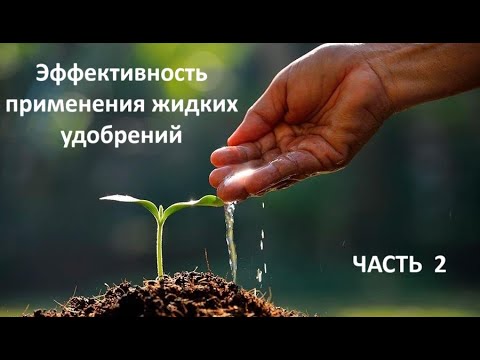 Видео: Эффективность применения жидких удобрений.  ЧАСТЬ 2