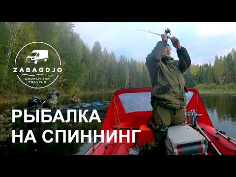 Видео: На водометных лодках по маловодным рекам Севера | верховья реки Сысола | осенняя рыбалка на спиннинг