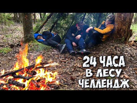 Видео: 24 ЧАСА В ЛЕСУ БЕЗ ЕДЫ/ЧЕЛЛЕНДЖ/ВЫЖИВАНИЕ
