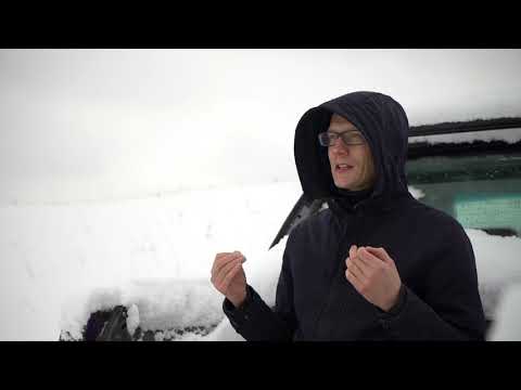 Видео: Про Бедность.