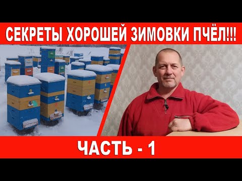 Видео: Секреты хорошей зимовки пчёл | Часть 1.