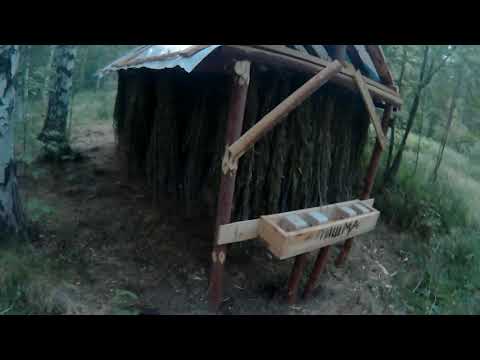 Видео: Биотехния Заготовка сена для косуль, лосей, зайцев Закладка сена в кормушку