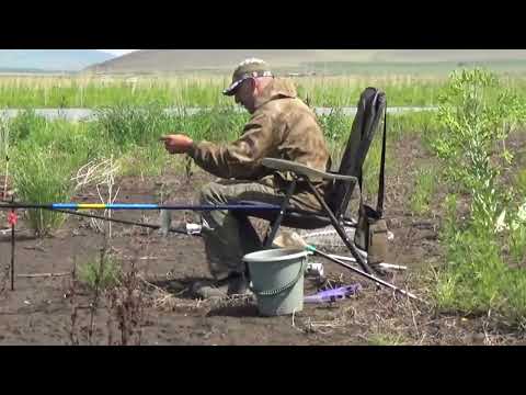 Видео: Узинский залив (Июнь 2023)