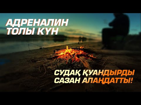 Видео: Адреналин толы күн: Судақ қуандырды, сазан алаңдатты! 
