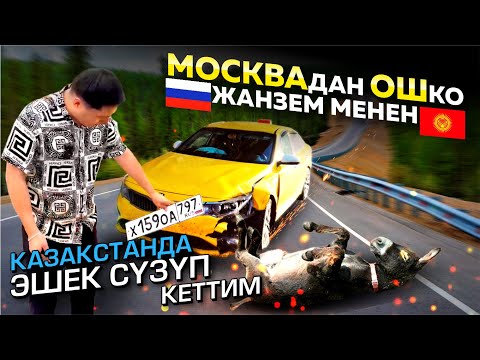 Видео: МОСКВАДАН ОШКО ОПТИМА МЕНЕН | ЖОЛДОГУ ОКУЯЛАР