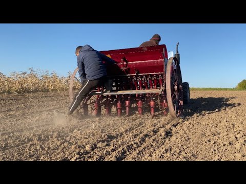 Видео: Посівна шіфенгом 240 і кінною сівалкою