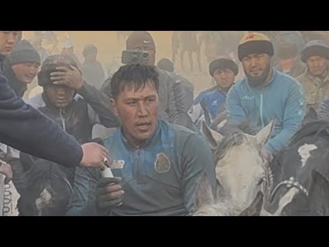 Видео: Карасуунун улагы  Отто каттуу улак болду