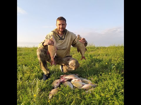 Видео: Ночная рыбалка на леща фидером на озере Егорлыцкое