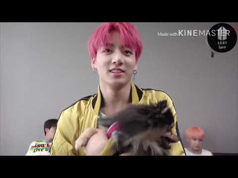 Видео: bts - представь Чонгук твой парень - ревнивый 1 часть