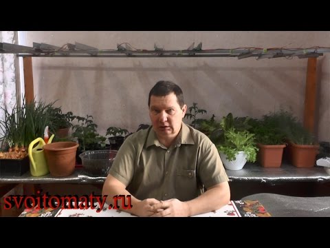 Видео: Домашний огород продолжение