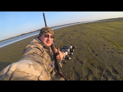 Видео: ОХОТА НА ГУСЯ С ЧУЧЕЛАМИ ОСЕНЬ 2020 / БЕЛОЩЕКАЯ КАЗАРКА / ОГРОМНЫЙ МЕДВЕДЬ И ЛОСЬ