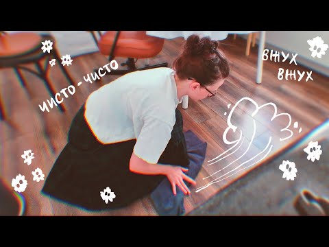Видео: генеральная уборка и отдых