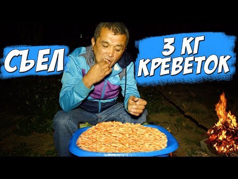 Видео: СЪЕЛ 3 КГ КРЕВЕТОК за 2000 РУБЛЕЙ