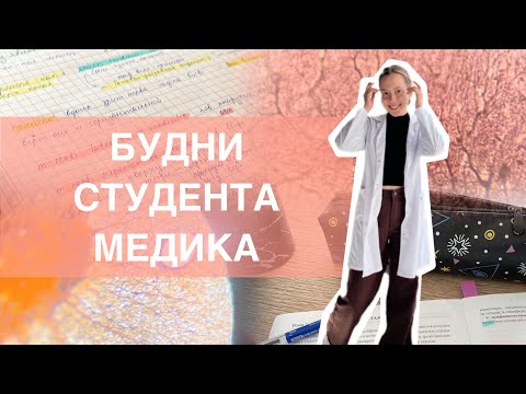 Видео: VLOG: учеба в медицинском | рниму 2 курс | будни студента медика