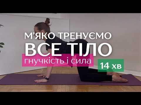 Видео: М'яке тренування на все тіло. Мобільність, гнучкість, сила | 14 хв вдома