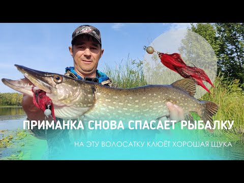 Видео: НА ЭТУ ВОЛОСЯКУ КЛЮЁТ ХОРОШАЯ ЩУКА: ПРИМАНКА СНОВА СПАСАЕТ РЫБАЛКУ