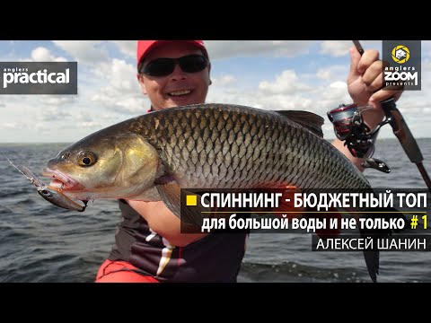 Видео: Спиннинг - бюджетный ТОП. Для большой воды и не только. Алексей Шанин. Anglers Practical