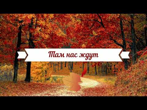Видео: 🔴 Там нас ждут, там об этом знают⛅⛅