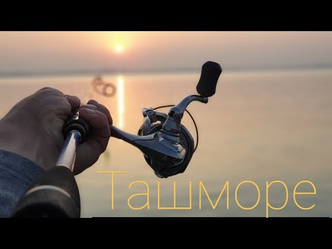 Видео: Джиг 2019. Начало сезона.
