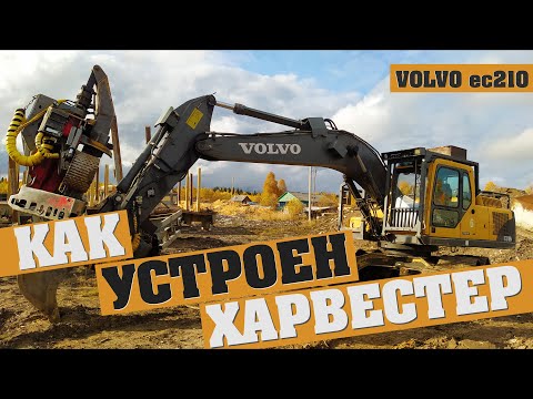 Видео: Как устроен харвестер? На примере VOLVO EC210Bf и Logmax 6000