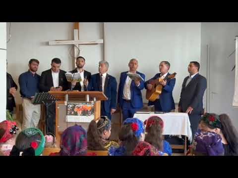 Видео: богар