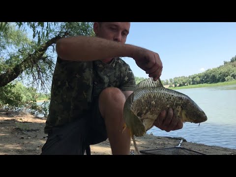 Видео: ЗАКОРМИЛИ...И ТУТ ПОНЕСЛОСЬ!!!САЗАН КЛЕВАЛ КАК ИЗ ПУЛЕМЕТА!!!УХА НА КОСТРЕ!!РЫБАЛКА НА КУБАНИ В ИЮЛЕ