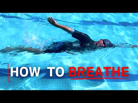 Видео: Как плавать вольным стилем для начинающих