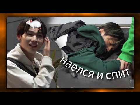 Видео: энхайпен играют в амогусов