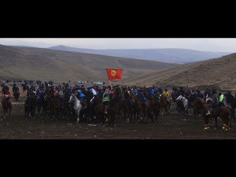 Видео: Аламан улак Лейлек  Сүлүктү 7-Ноябрь 2024