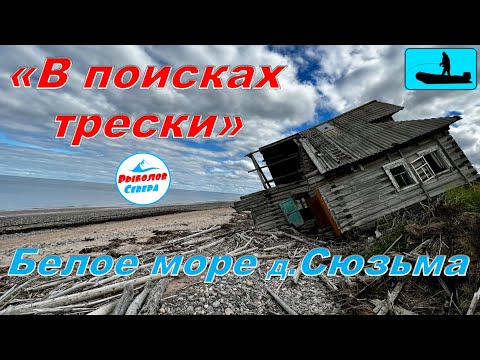 Видео: ✅ «В ПОИСКАХ ТРЕСКИ» Белое море 2022  🎣🐟🐟🐟 мыс Малинник д.Сюзьма #рыболов_севера