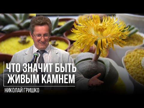 Видео: Что значит быть живым камнем. Николай Гришко.