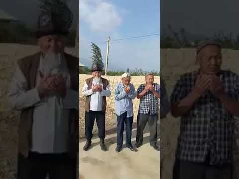 Видео: Ноогардан айылы 2021