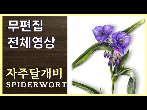 Видео: [Полное видео] Рисование цветов | Распускаем одинокий дневной цветок цветными карандашами