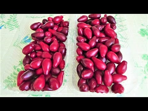 Видео: Замораживаем спелый кизил