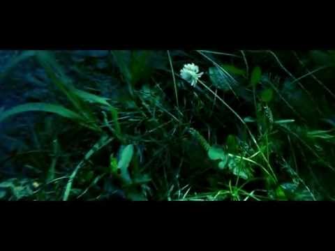 Видео: Вова Забытый - Без Тебя (Official Video 2014)