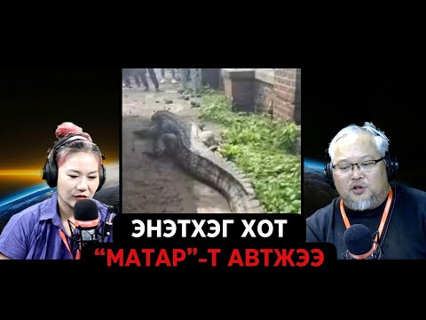 Видео: Дөрвөн зүгийн шуугиан | 2024-09-03 | Төлбөрөө төлөхгүйн тулд хоолондоо жоом хийсэн байжээ