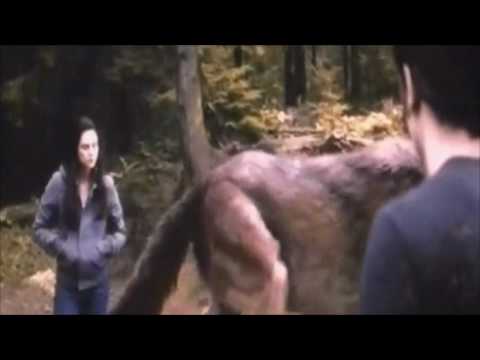 Видео: Затмение от Эдварда.