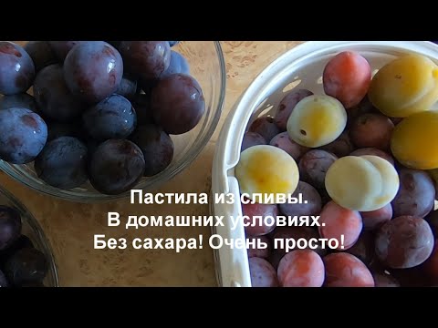 Видео: Пастила из сливы в домашних условиях. Тонкости приготовления. Очень просто! Без сахара.