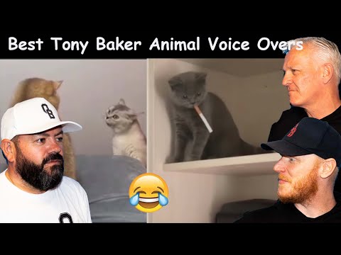 Видео: Лучшая озвучка Тони Бейкера РЕАКЦИЯ!! | РЕАКЦИЯ ОФИСНЫХ ПАРНЕЙ!!