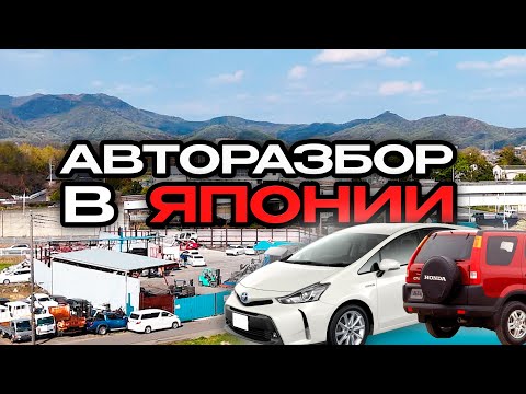 Видео: Автозапчасти из Японии - Разбор авто с аукционов